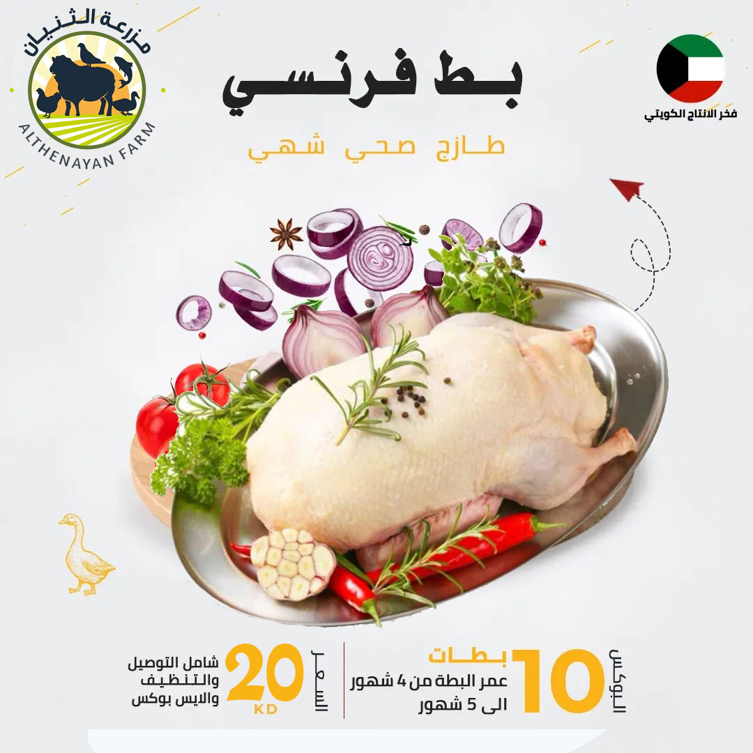 بوكس 10 بطات فرنسي عمر 4 - 5 شهور